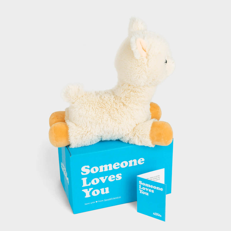 Lawrence the Llama 🦙