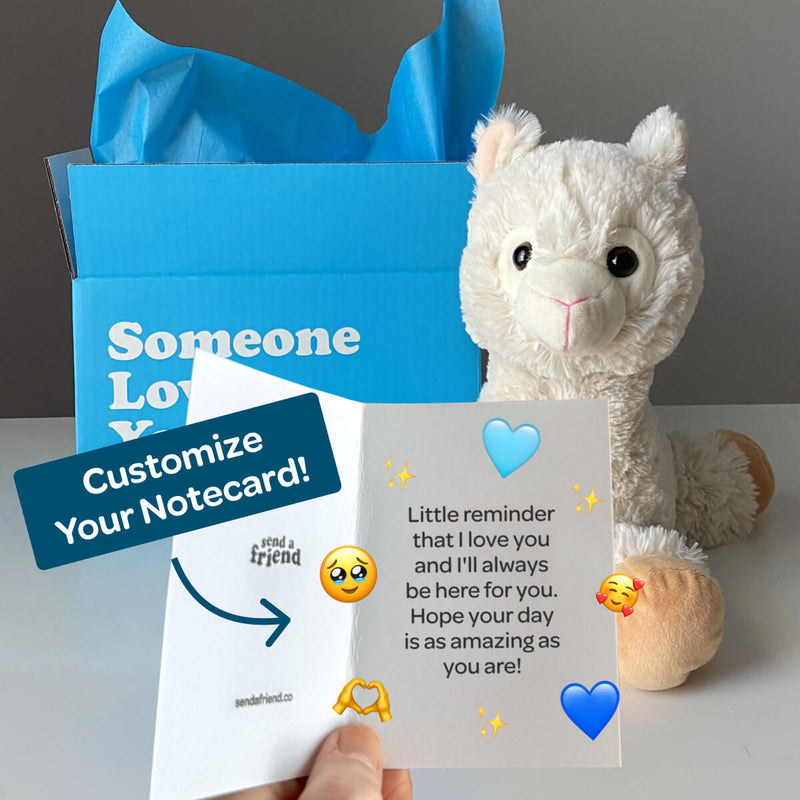 Lawrence the Llama 🦙