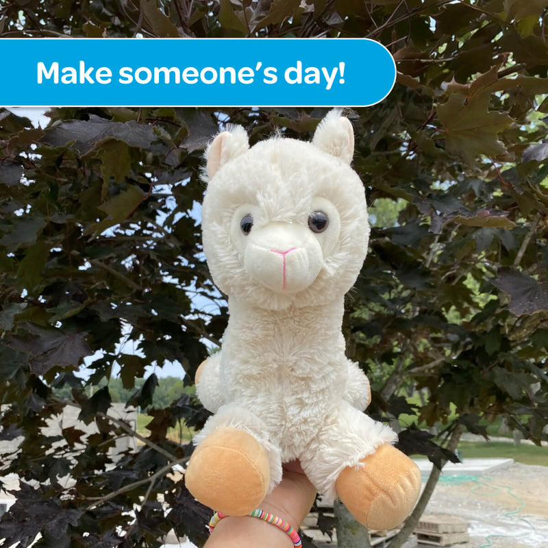 Lawrence the Llama 🦙