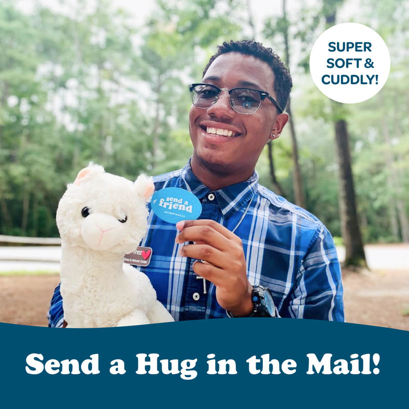 Lawrence the Llama 🦙