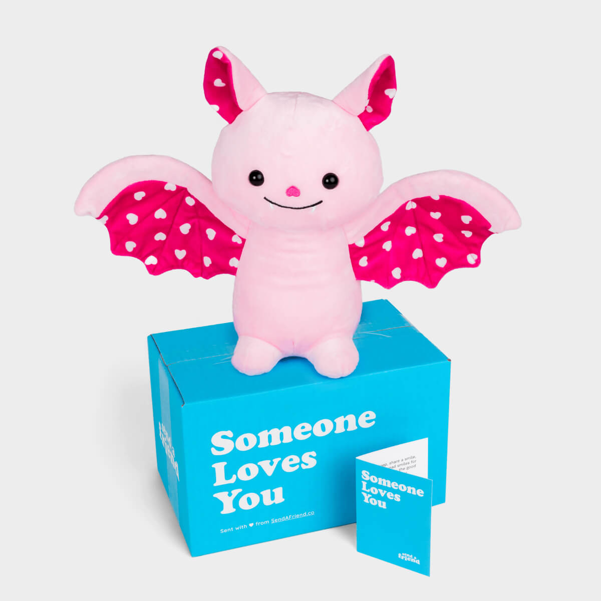Alex the Axolotl Stuffed Animal Care Package - SendAFriend