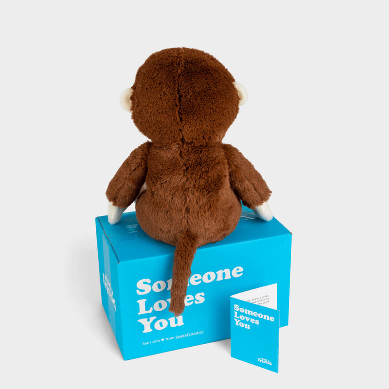 Maria the Monkey 🐵