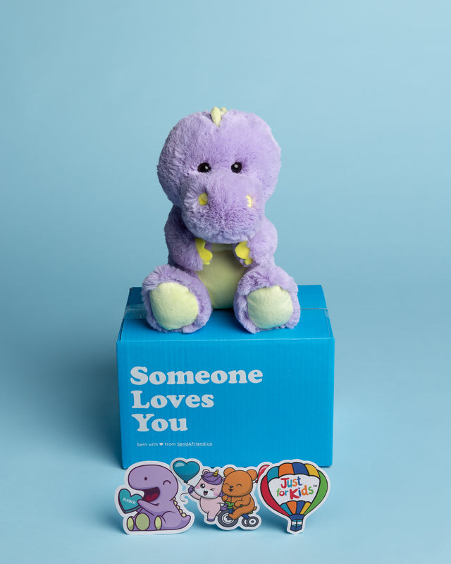 Send a Valentine’s Day Package to a Child at Norton Children’s