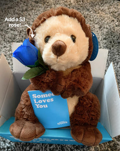Photo of brown Oliver the Otter sitting in blue Someone Loves You box holding note card and blue rose. Add a blue rose for additional $3