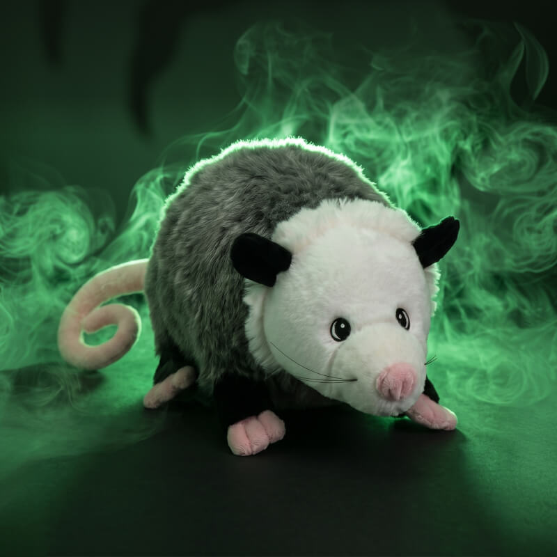 Oodle the Opossum