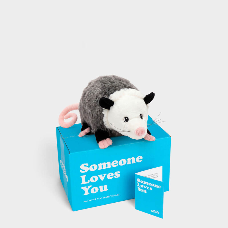 Oodle the Opossum 🩶