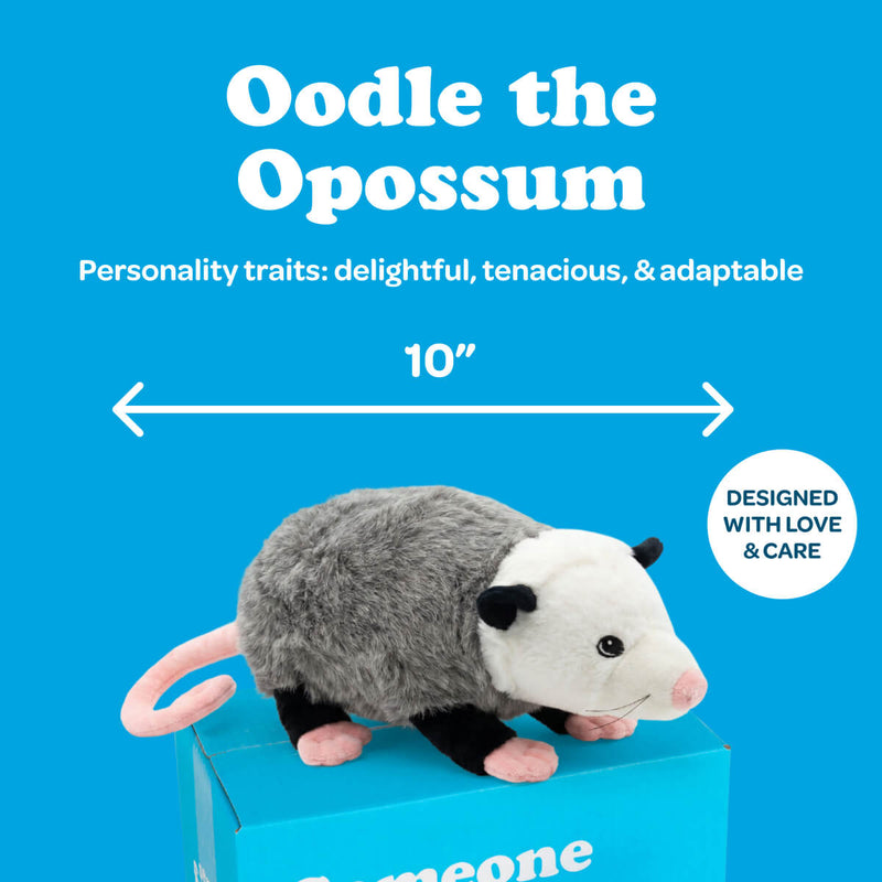 Oodle the Opossum 🩶