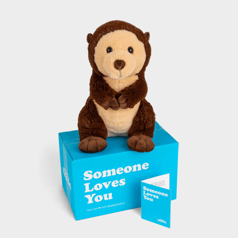 Oliver the Otter 🦦