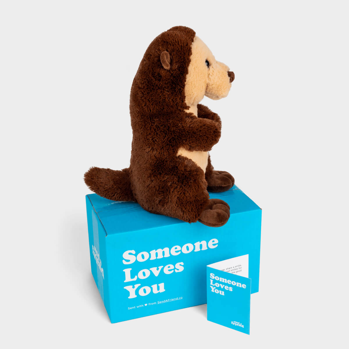 Oliver the Otter Stuffed Animal Care Package - SendAFriend