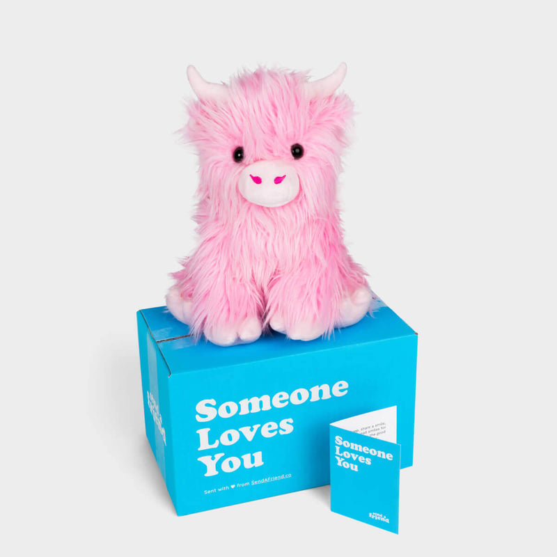 Petunia the Pink Highland Cow 🩷🐮