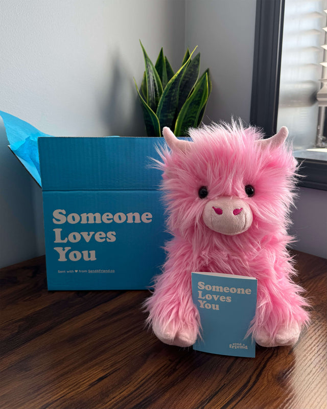 Petunia the Pink Highland Cow 🩷🐮