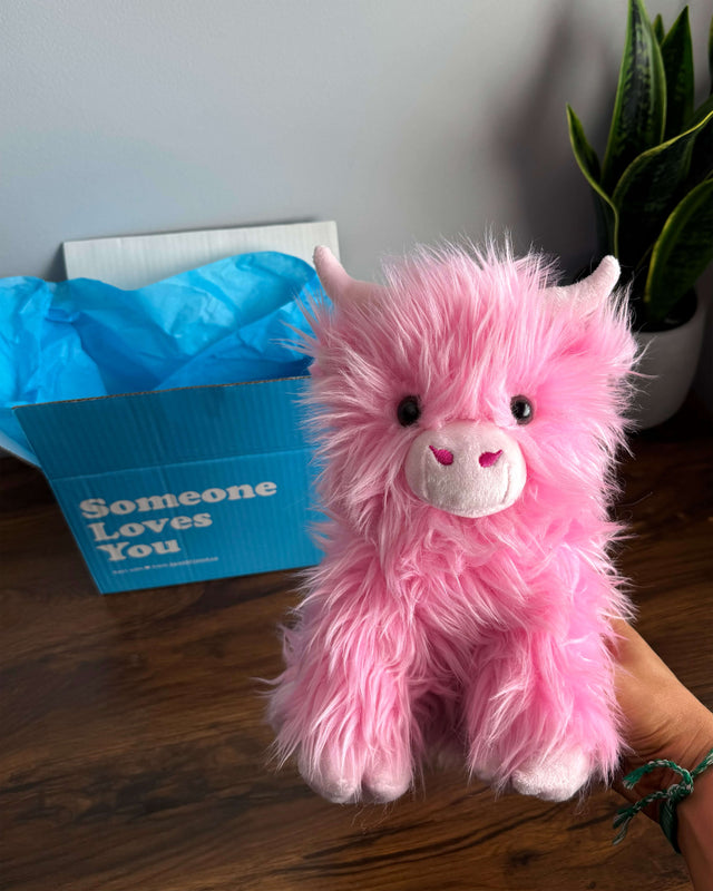 Petunia the Pink Highland Cow 🩷🐮