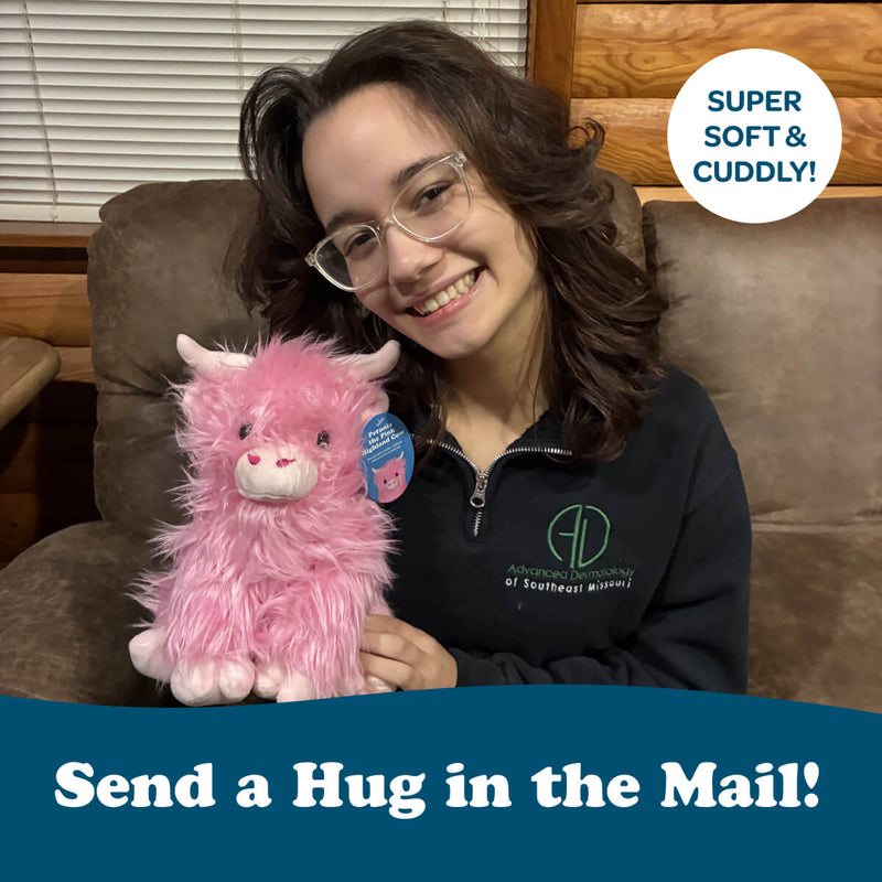 Petunia the Pink Highland Cow 🩷🐮