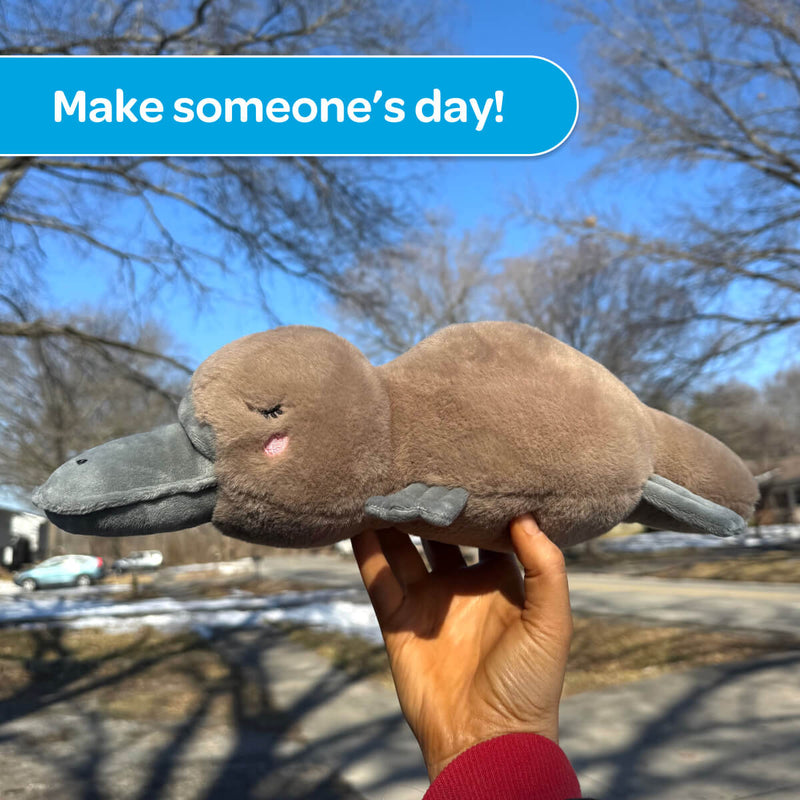 Patrick the Platypus 🤎