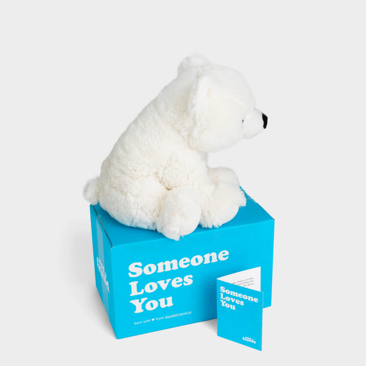 Polar Bear様 リモワ サルサ プロセッコ Peaches the Polar Bear Stuffed Animal Care Package - SendAFriend