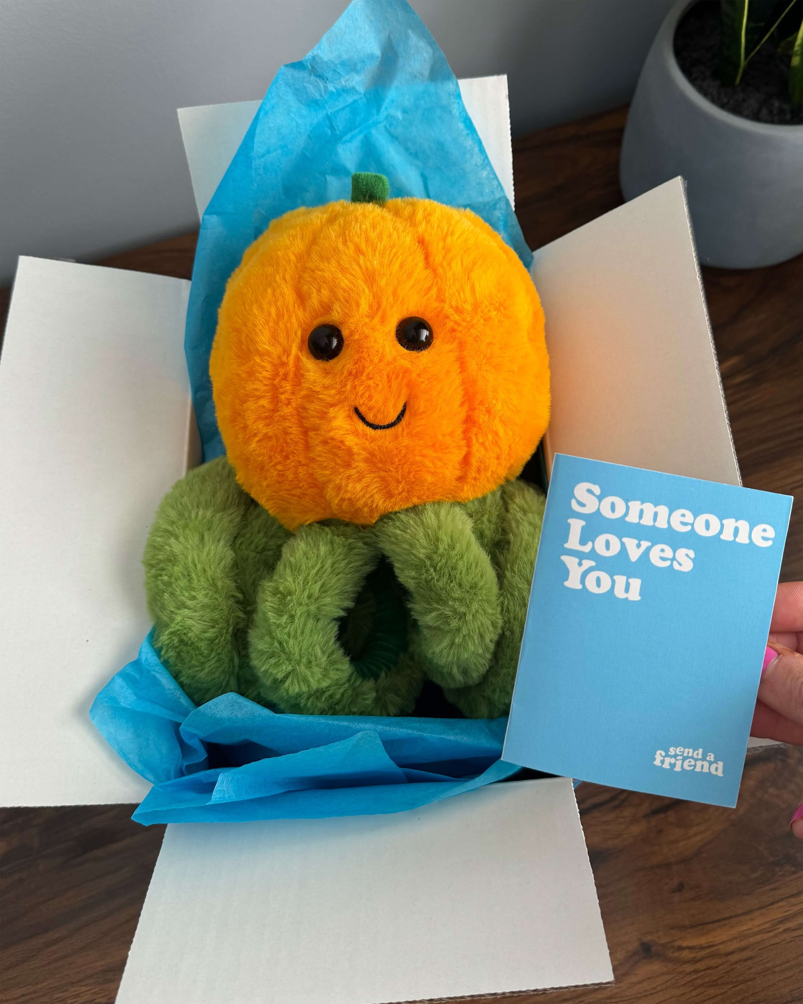 Poppy the Pumpkin Octopus 🎃🐙