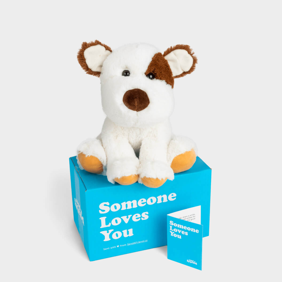 Speedy-Puppy Chicco ぬいぐるみ Peanut the Puppy Stuffed Animal Care Package - SendAFriend