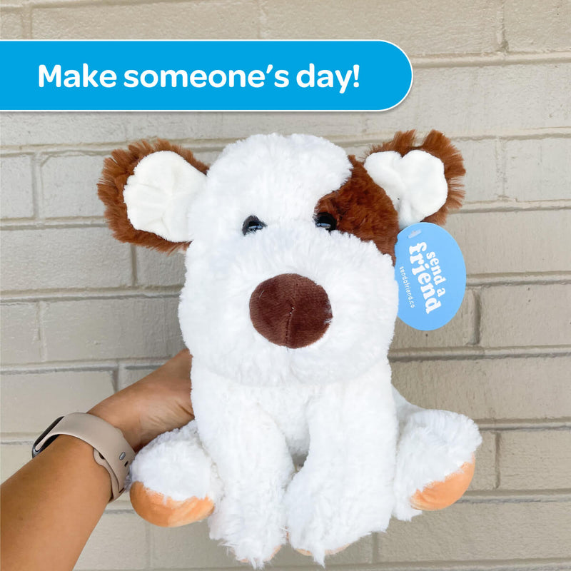 Peanut the Puppy 🐶