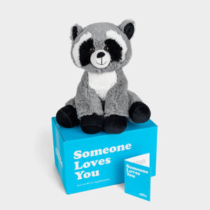 Rosie the Raccoon Stuffed Animal Care Package