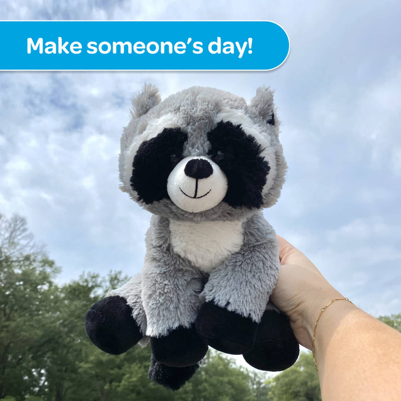 Rosie the Raccoon Stuffed Animal Care Package - SendAFriend Rosie the Raccoon Stuffed Animal Care Package - SendAFriend