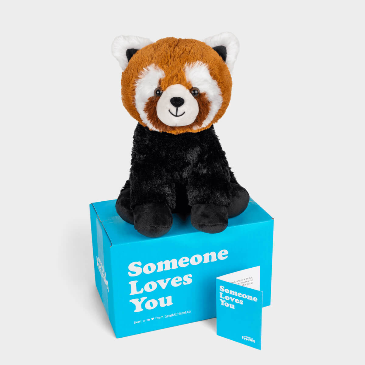 Rusty the Red Panda Stuffed Animal Care Package - SendAFriend