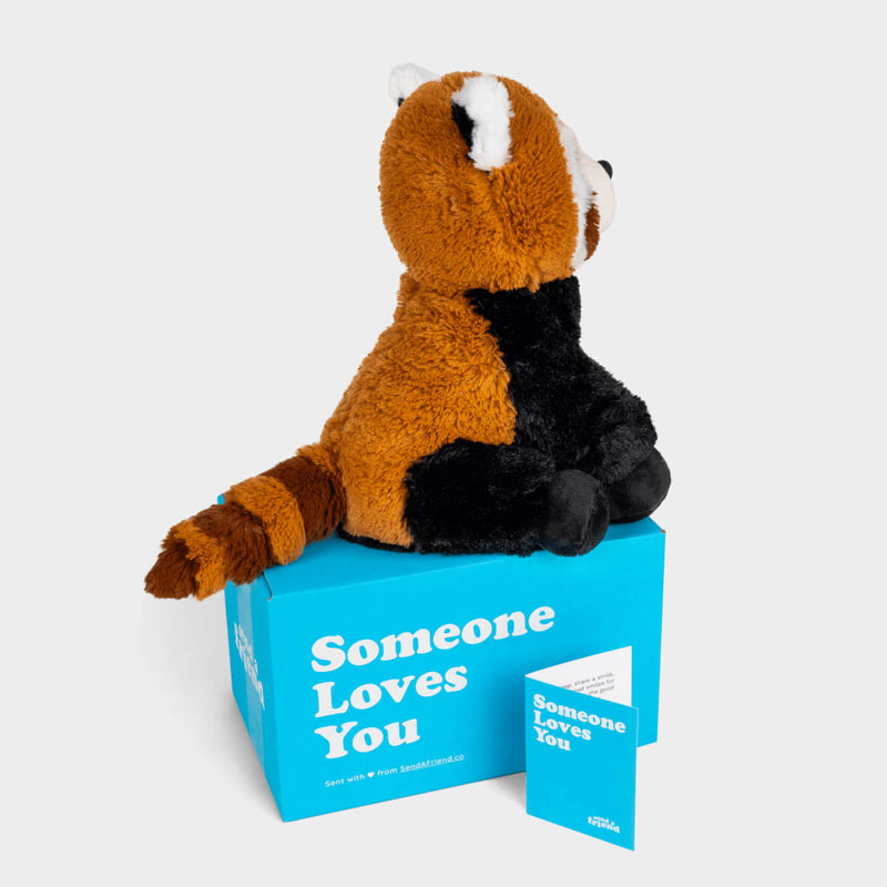 Rusty the Red Panda ❤️