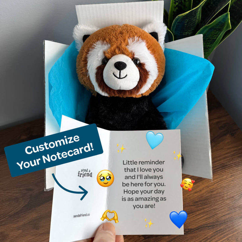 Rusty the Red Panda ❤️