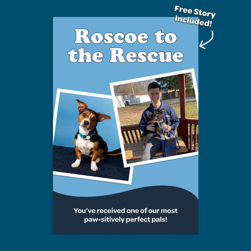 Roscoe the Rescue 🐕