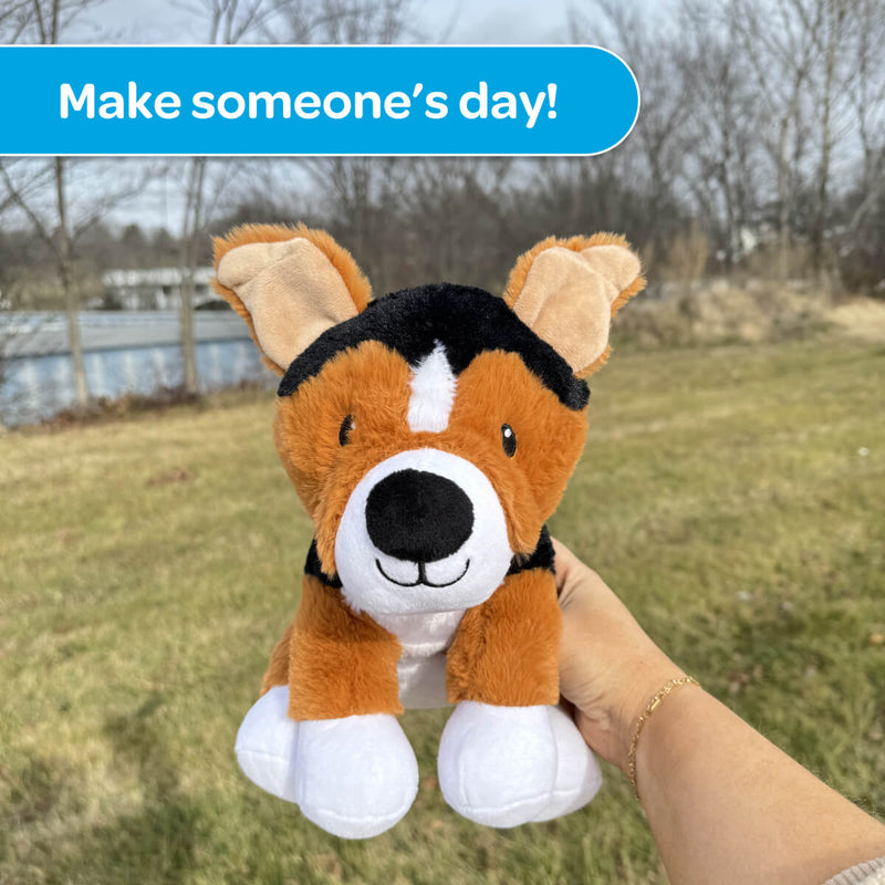 Roscoe the Rescue 🐕