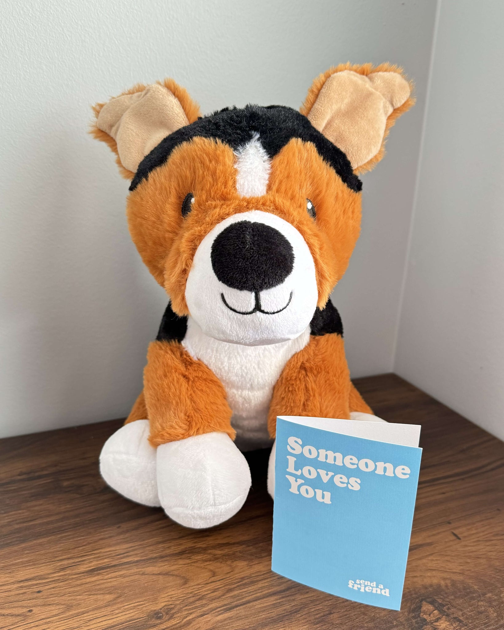 Photo of tri-colored dog plushie sitting on the floor, next to the wall with a notecard