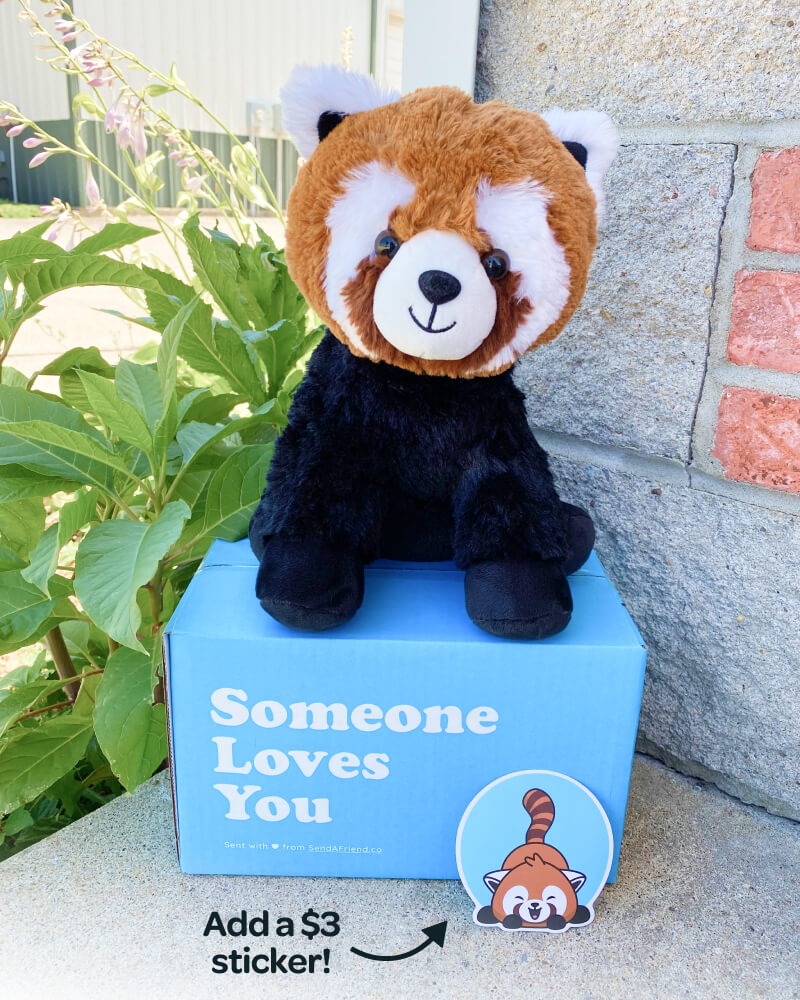Photo of Rusty the Red Panda plushie sitting outdoors on Someone Loves You box. Matching sticker pictured, can be purchased for $3