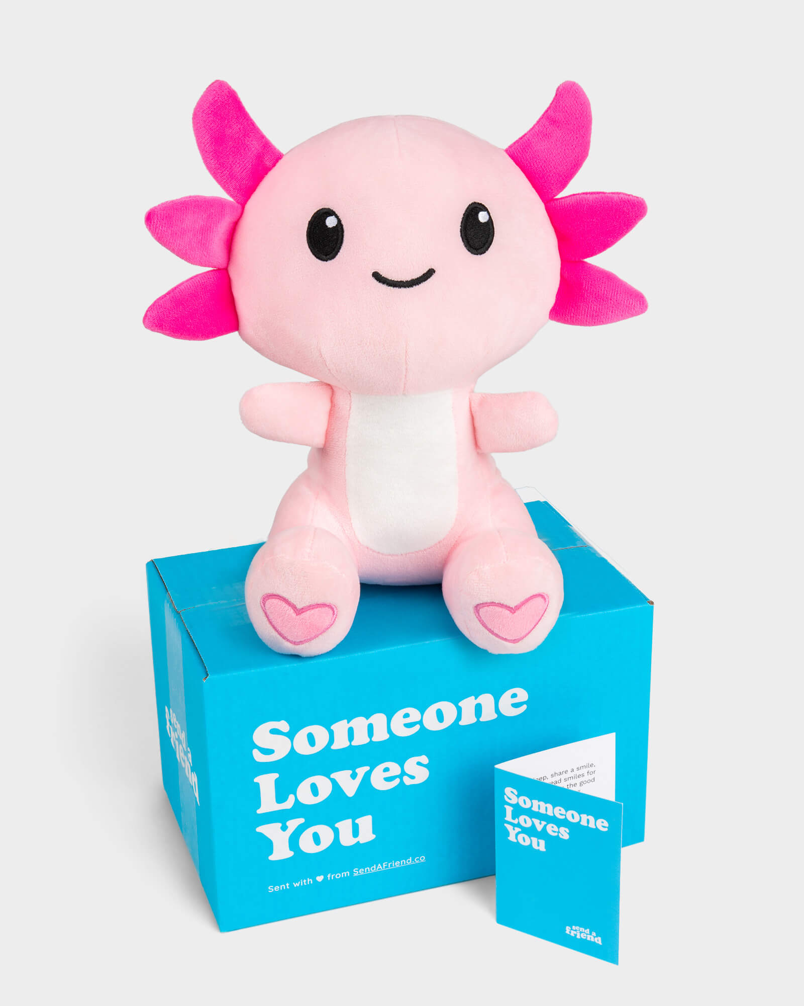 Front facing photo of pink Alex the Axolotl sitting on bright blue Someone Loves You box