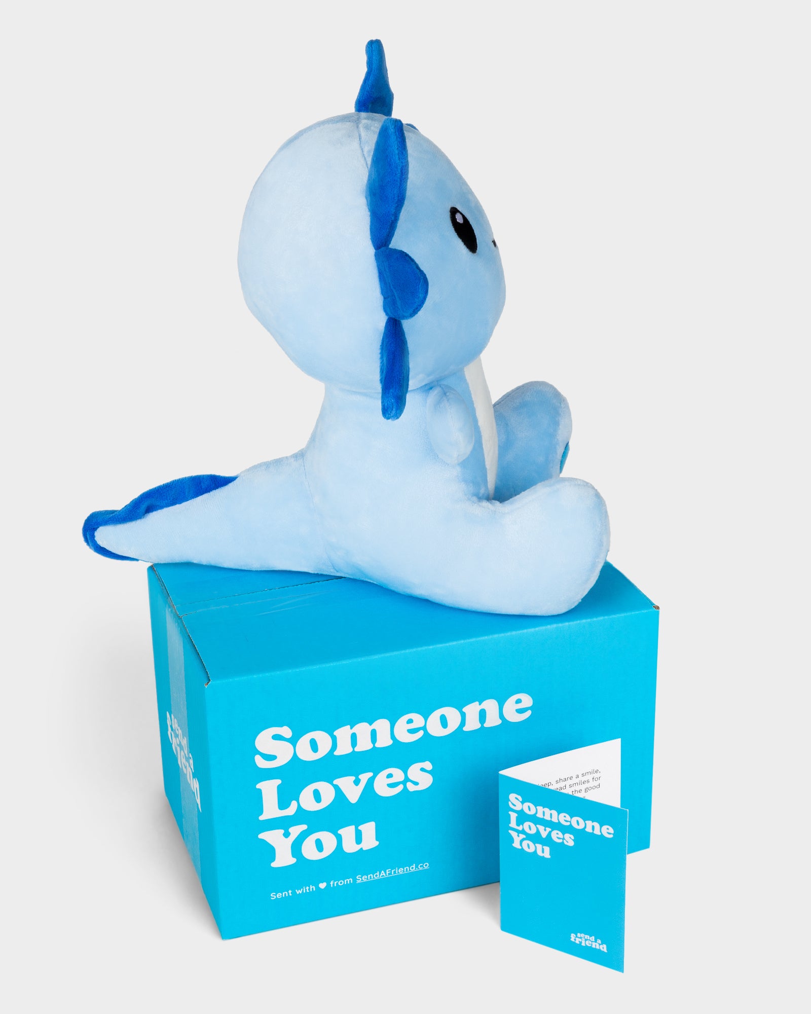 Bruno the Blue Axolotl 🩵