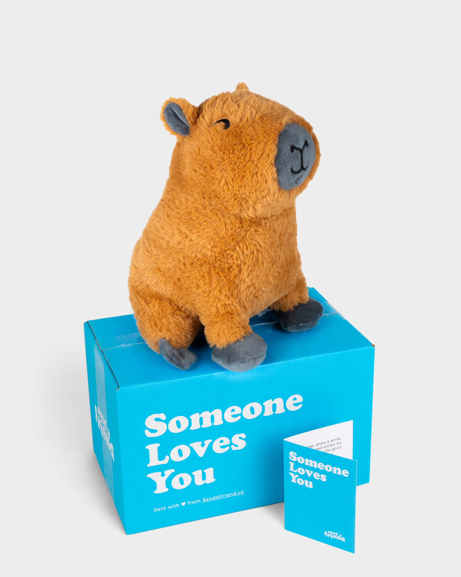 Photo of tan Crouton the Capybara plushie with Someone Loves You box and notecard