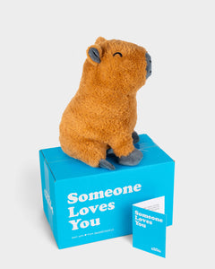 Side view photo of tan Crouton the Capybara plushie with Someone Loves You box and notecard