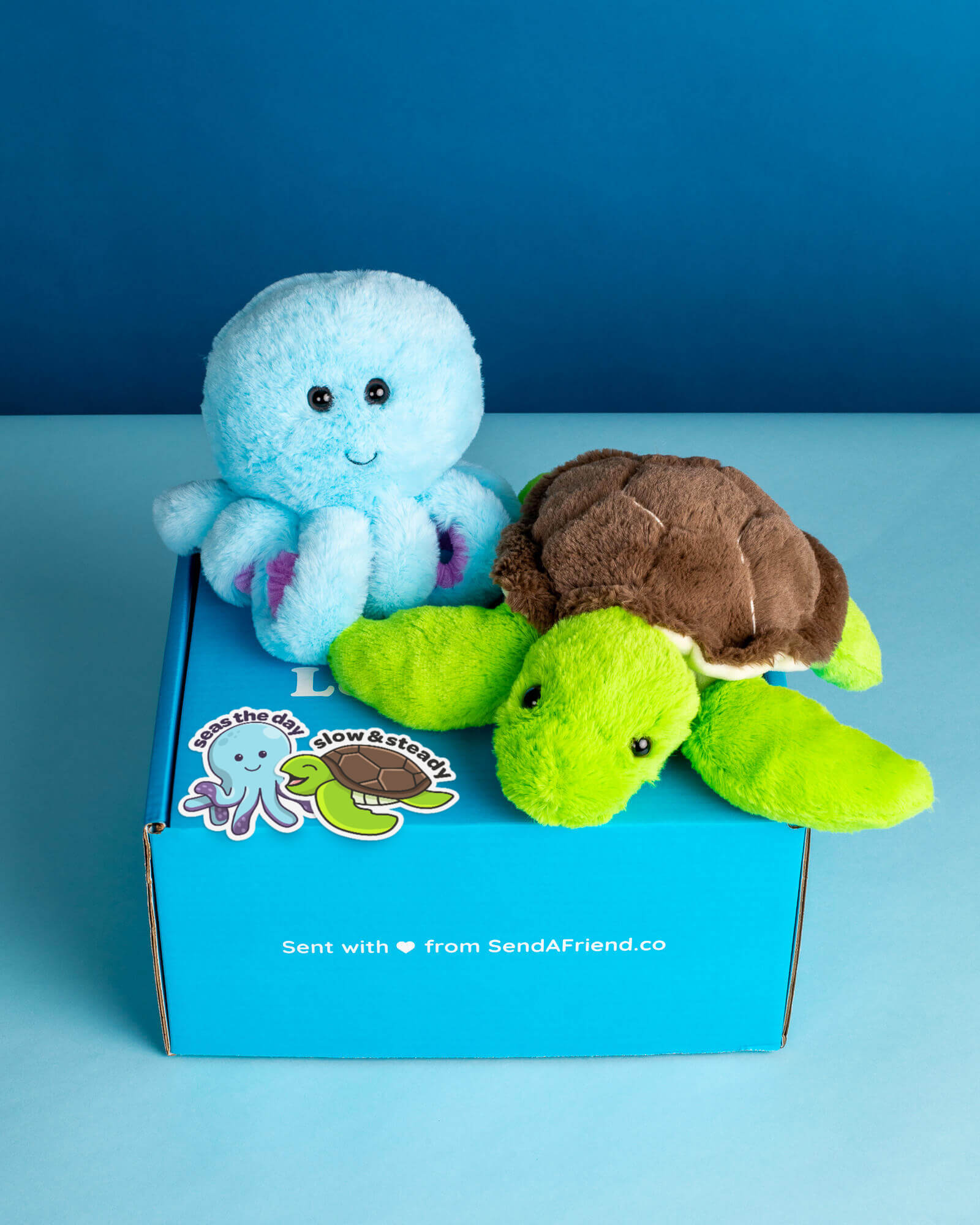 Photo of Tucker the Turtle and Ollie the Octopus plushies sitting on Someone Loves You box with matching stickers. 