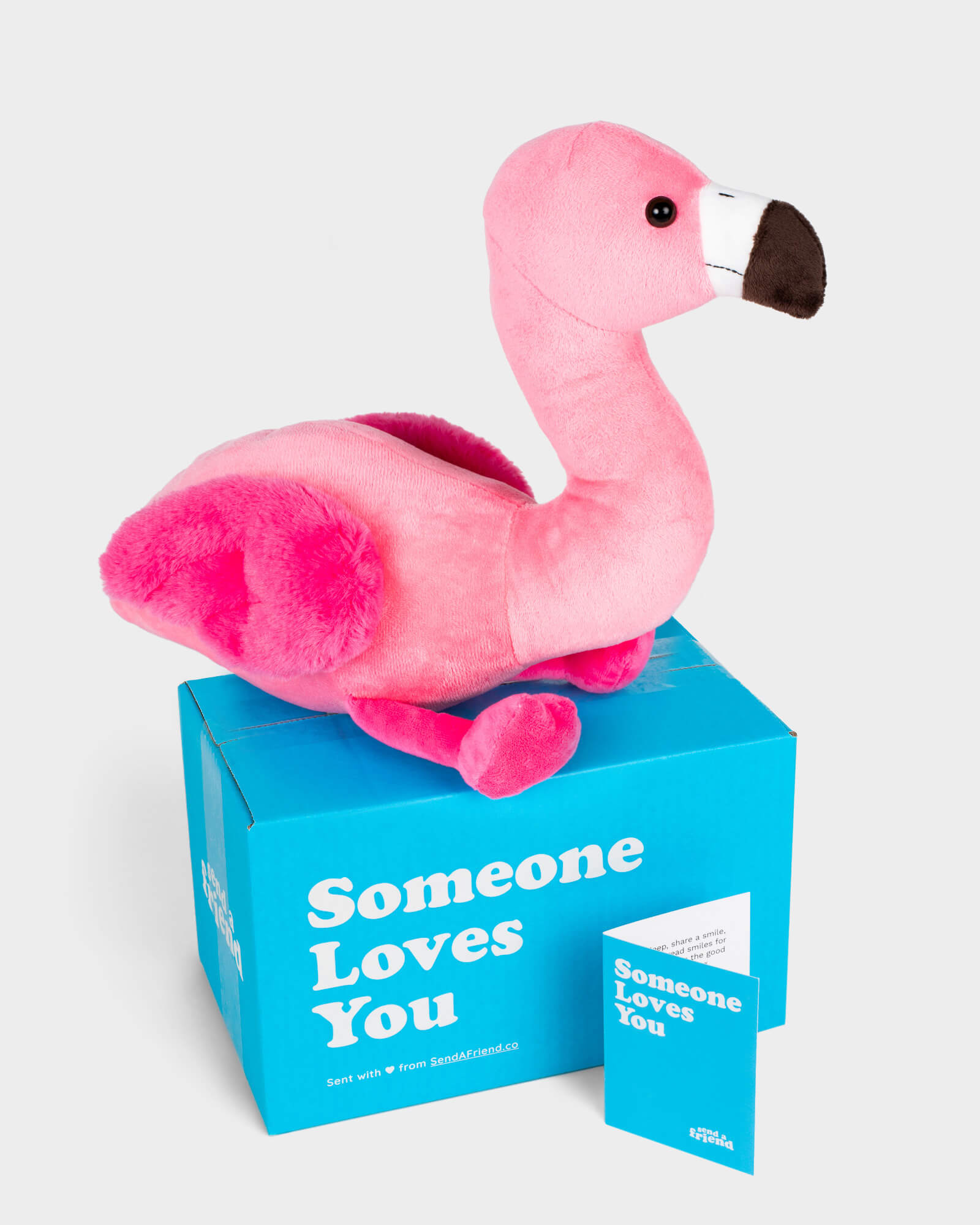 Shop All Stuffed Animal Care Packages | SendAFriend