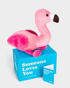 Photo of pink Faye the Flamingo plushie with Someone Loves You box and notecard
