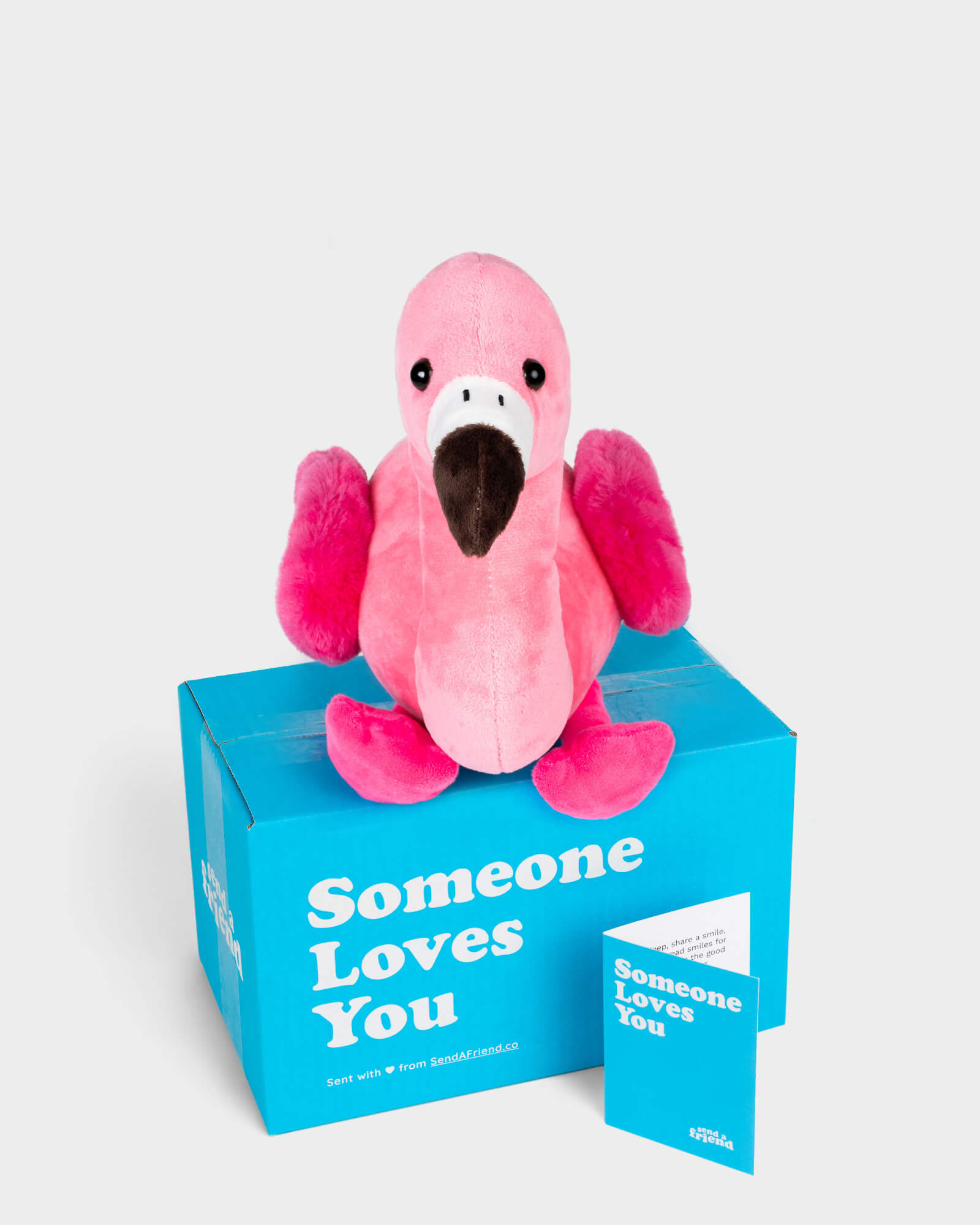 Front view photo of pink Faye the Flamingo, Someone Loves You box, and note card