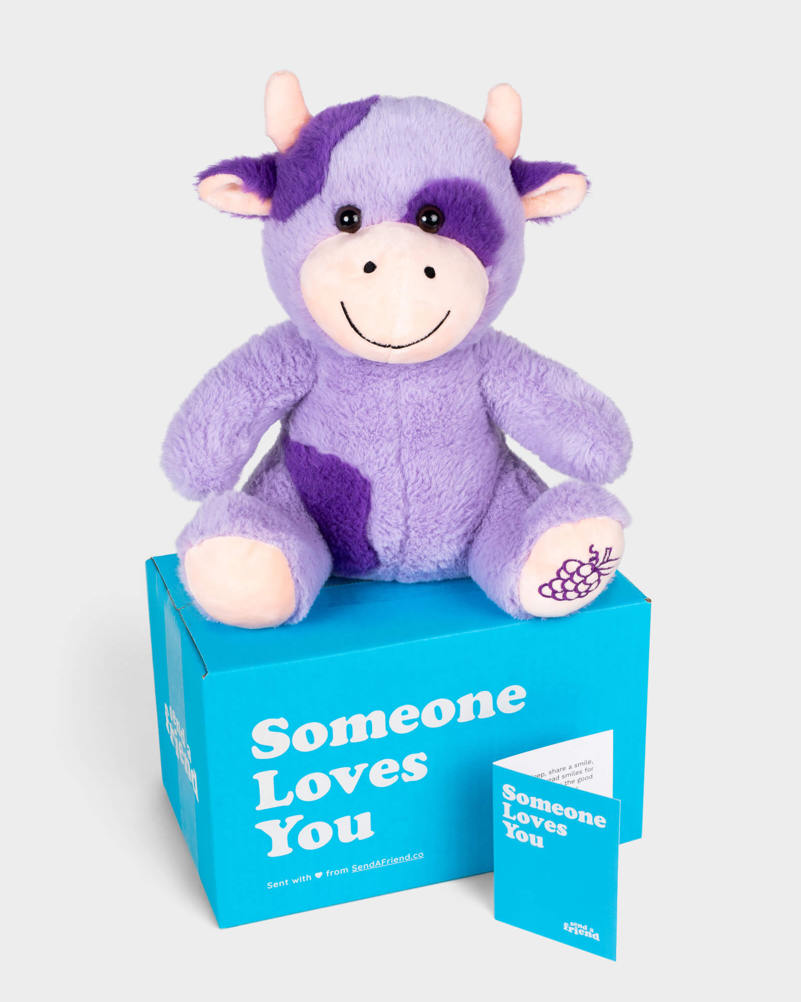 Photo of purple Gracie the Grape Cow plushie with Someone Loves You box and notecard