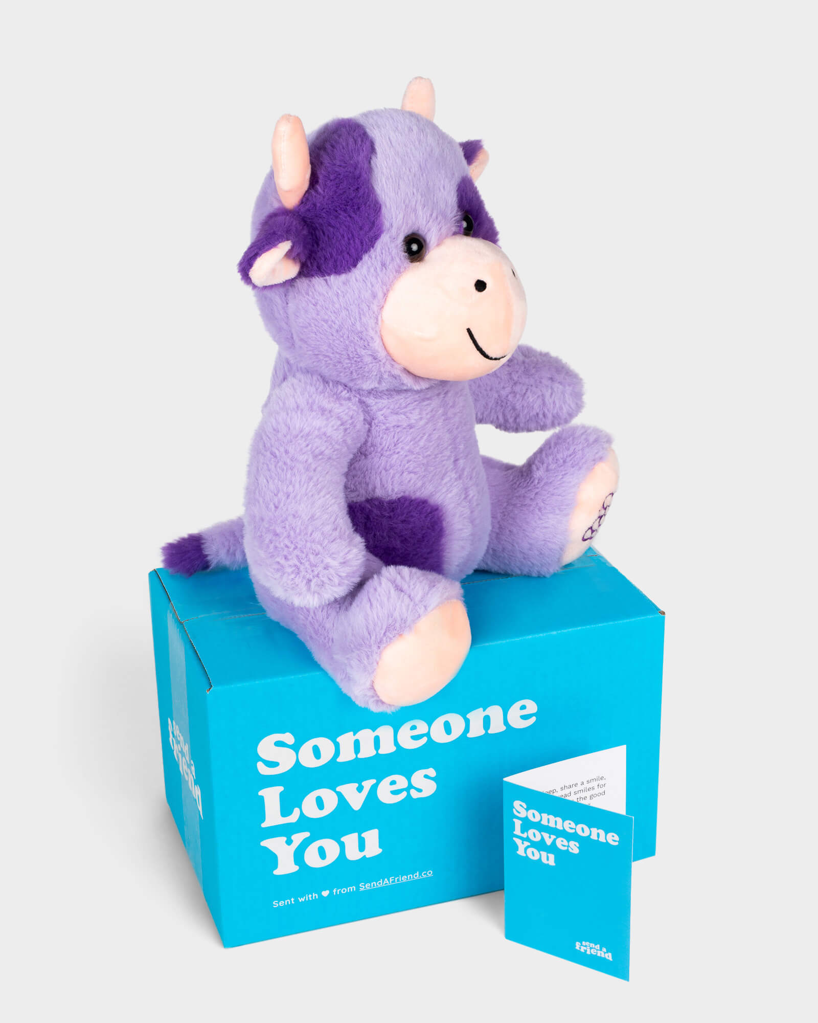 Side view photo of purple Gracie the Grape Cow plushie with Someone Loves You box and notecard