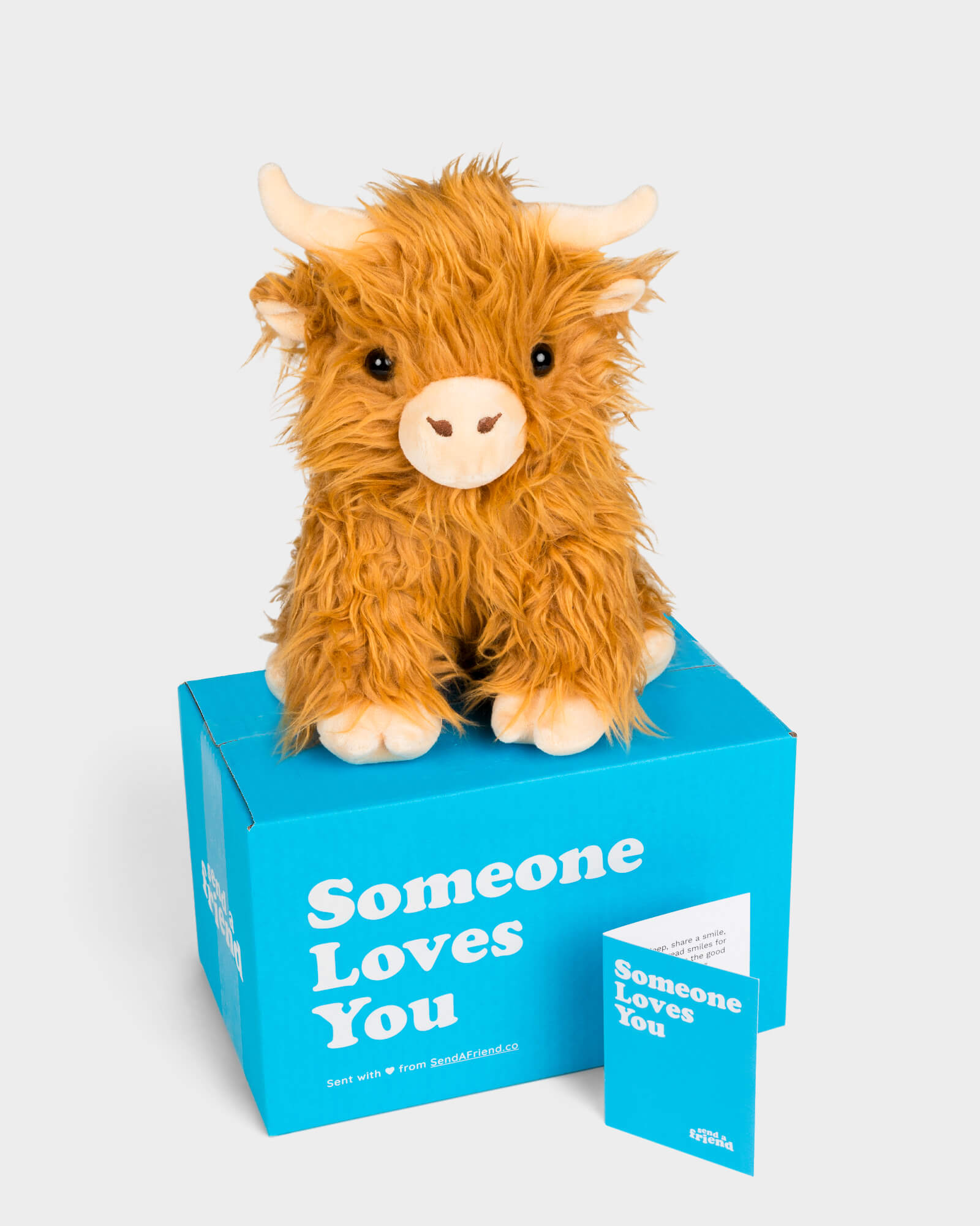 Helena the Highland Cow Stuffed Animal Care Package SendAFriend