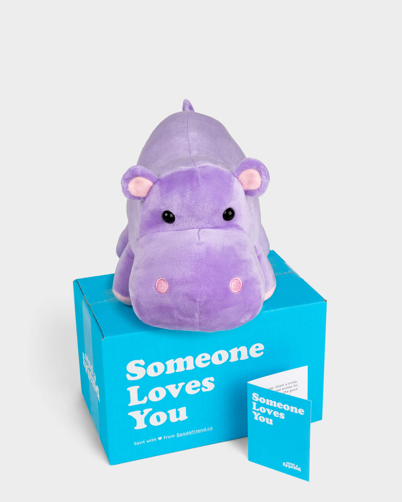 Photo of purple Harper the Hippo plushie with Someone Loves You box and notecard