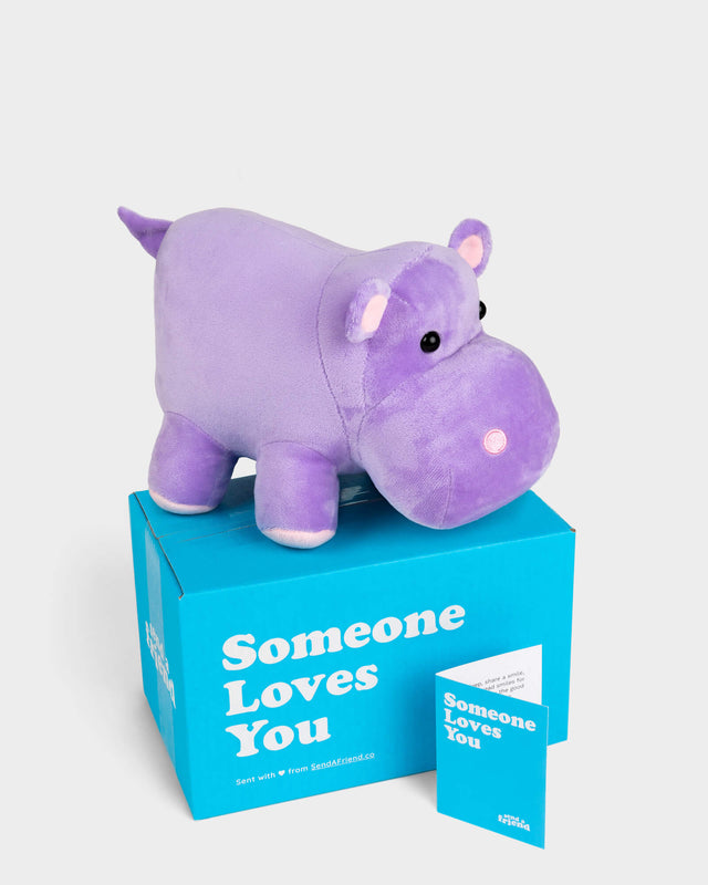 Side view photo of purple Harper the Hippo plushie, Someone Loves You box, and note card