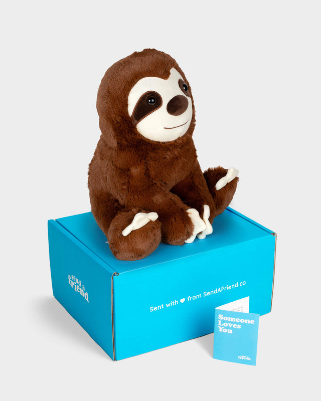 Side view photo of brown Jumbo Sam the Sloth 14 inch plushie with Someone Loves You box and notecard