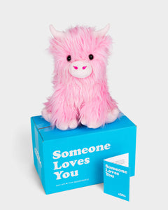 Friend　Ellyn Sanna　CD付き The Baby Einstein Music Box Orchestra - Baby Einstein: Traveling