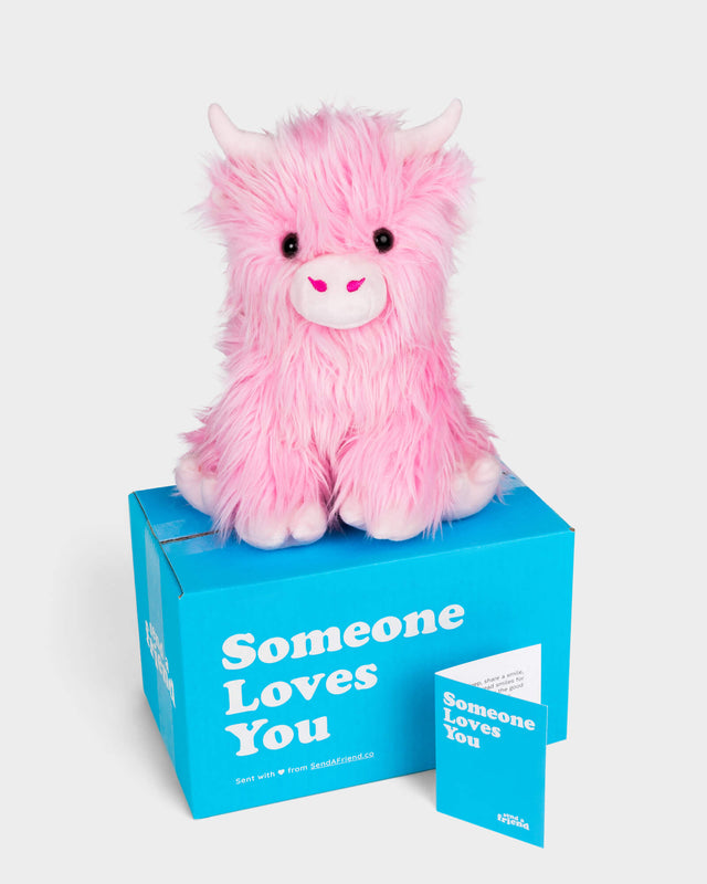 Petunia the Pink Highland Cow 🩷🐮