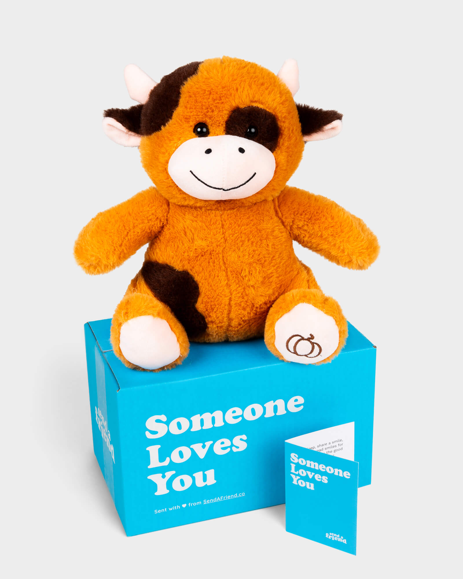 Photo of orange and black Piper the Pumpkin Spice Cow plushie with Someone Loves You box and notecard