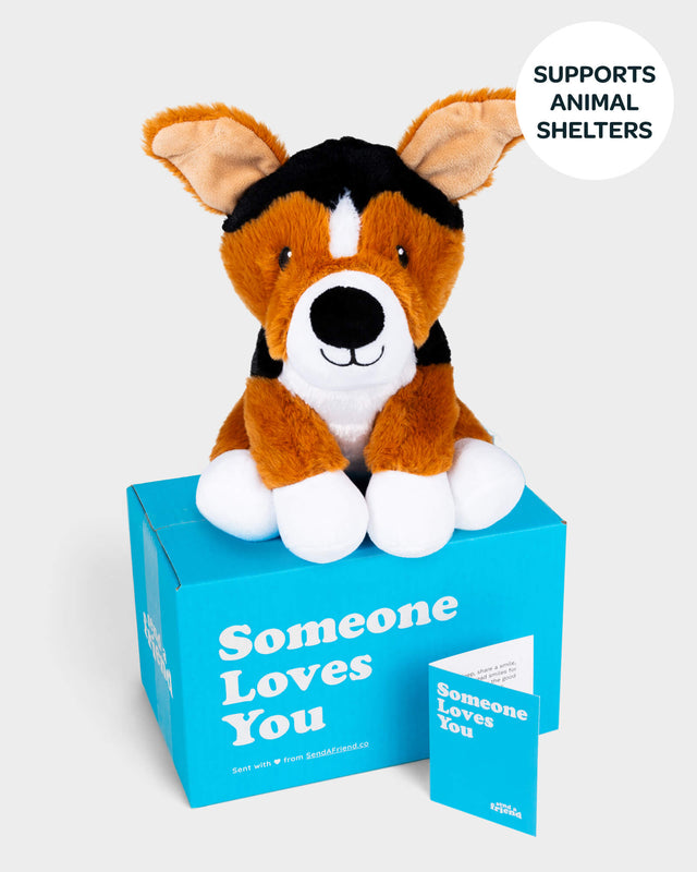Photo of orange, black, and white Roscoe the Rescue plushie with Someone Loves You box and notecard