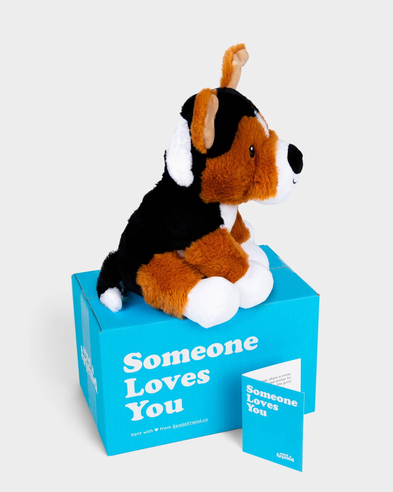 Photo of side view orange, black, and white Roscoe the Rescue plushie with Someone Loves You box and notecard